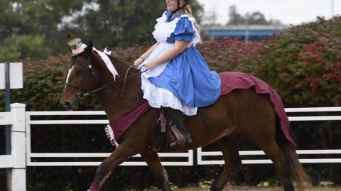 万圣节骏马奇装秀 华丽幻彩庆典